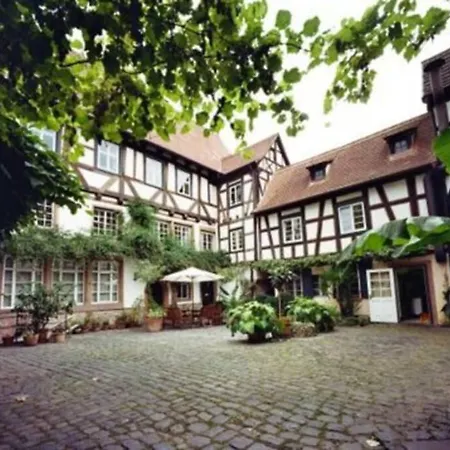 Apartment Historischer Adelshof Am Marktplatz, Atelier 70 M²