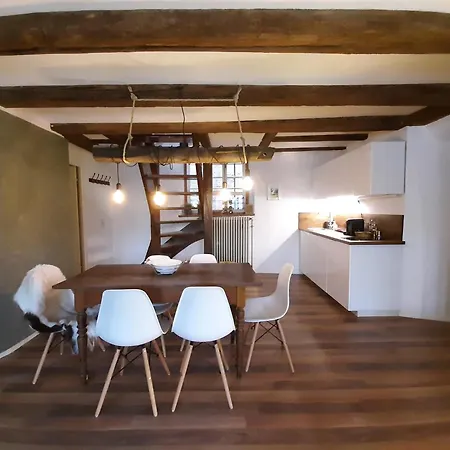 Apartment Historischer Adelshof Am Marktplatz, Atelier 70 M² *