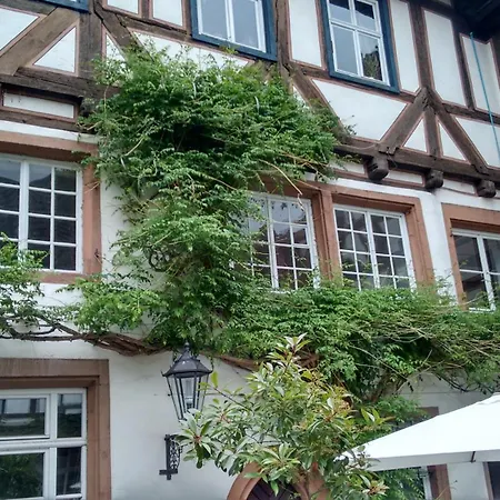 Historischer Adelshof Am Marktplatz, Atelier 70 M² *